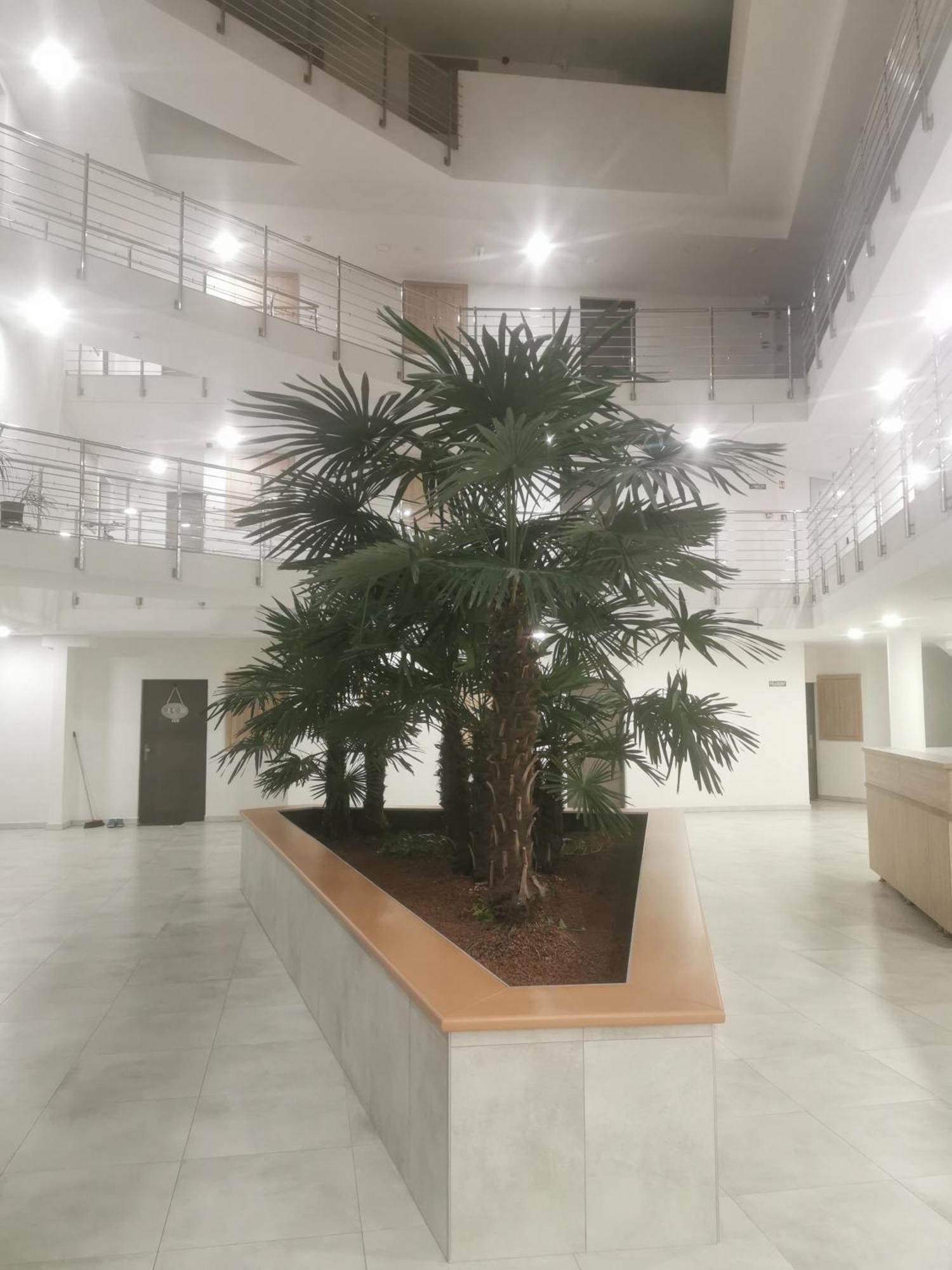 Beli Apartman Melygarazzsal Hévíz المظهر الخارجي الصورة